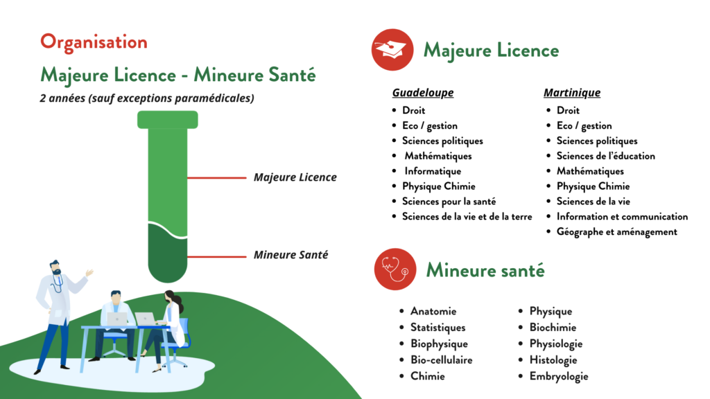 licence lass antilles