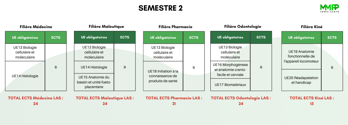 liste filiere las ue antilles