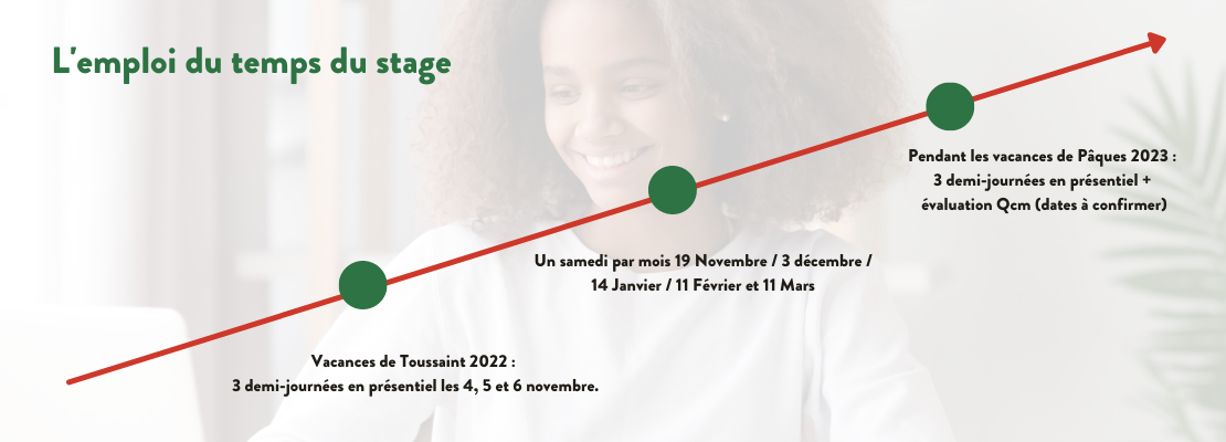 programme stage terminale pass antilles