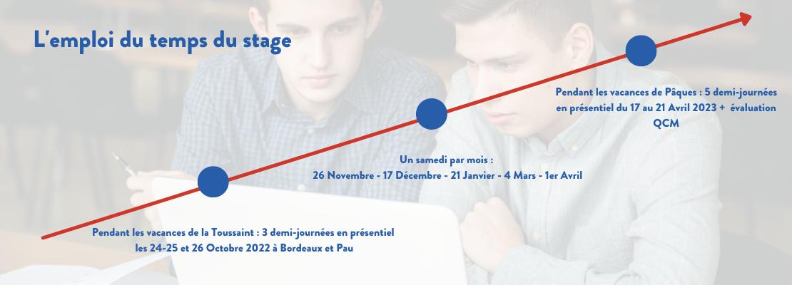 stage terminale planning bx