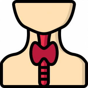 thyroide
